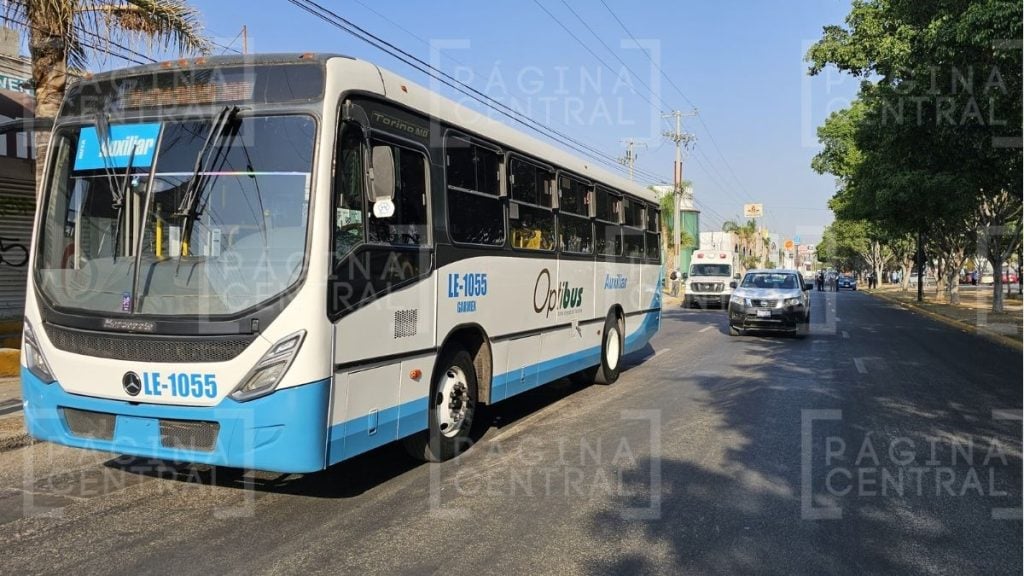 Muere ciclista atropellado por camión en San Miguel de Rentería