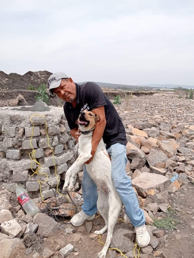 Adolescentes arrojan a perrita a pozo de Brisas del Campestre