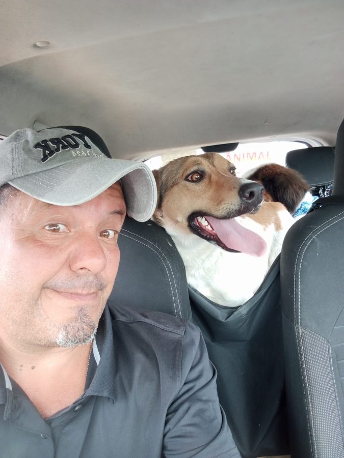 Adolescentes arrojan a perrita a pozo de Brisas del Campestre