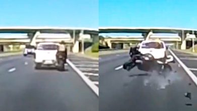 Motociclista choca contra camioneta en autopista