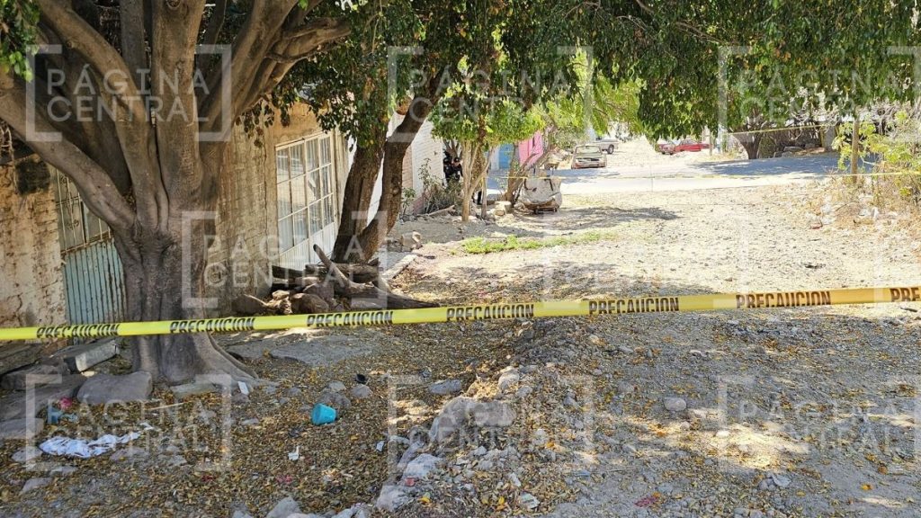 Encuentran cuerpo en Joyas de Castilla en León