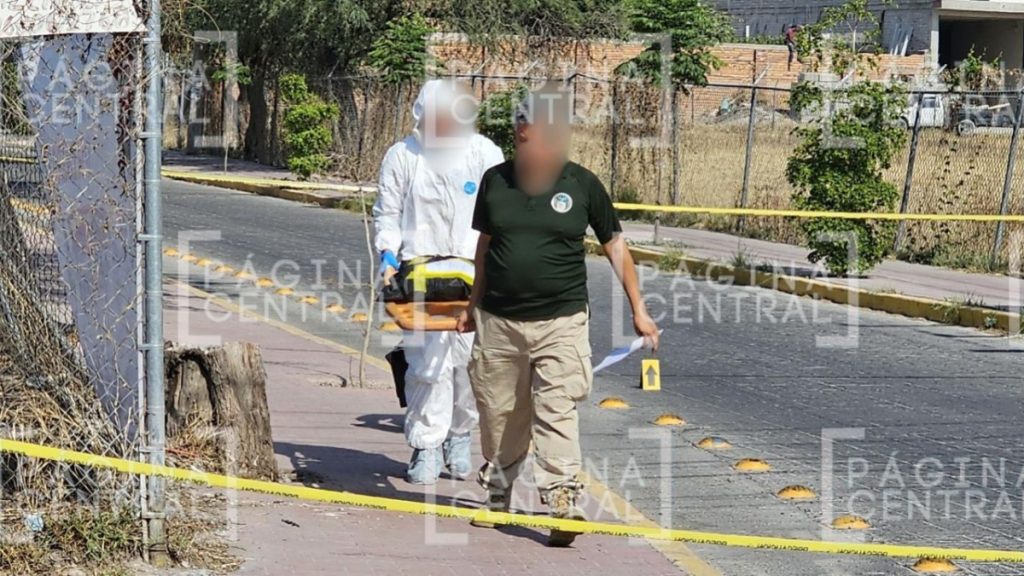 Purísima del Rincón: Encuentran a hombre vivo con las manos cortadas