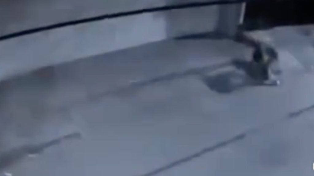 Jardines del Moral: agresión a Avril