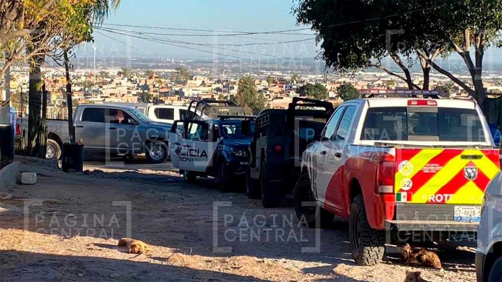 Barranca de Venaderos: Localizan restos de tres personas 