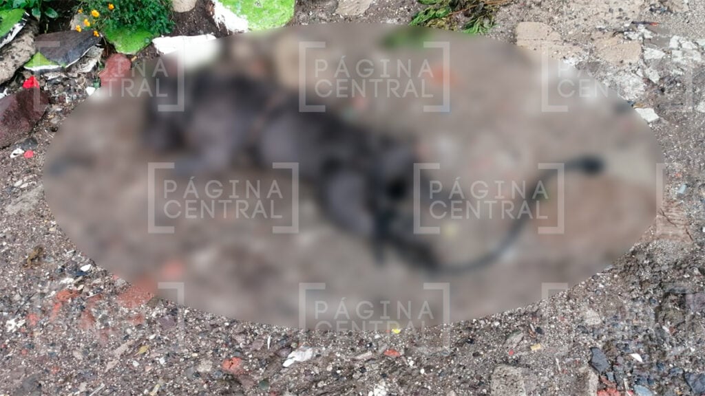 Colinas de la Fragua : Ataque armado dejó dos personas heridas