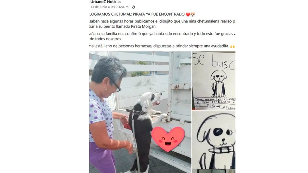 Abuelita encuentra a su perrito gracias a dibujo hecho por su nieta
