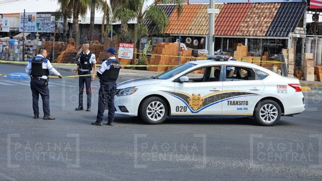 San Miguel de Rentería: Muere joven atropellado por camión