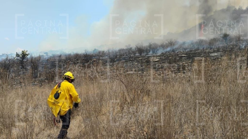 Incendio en Cerro Gordo