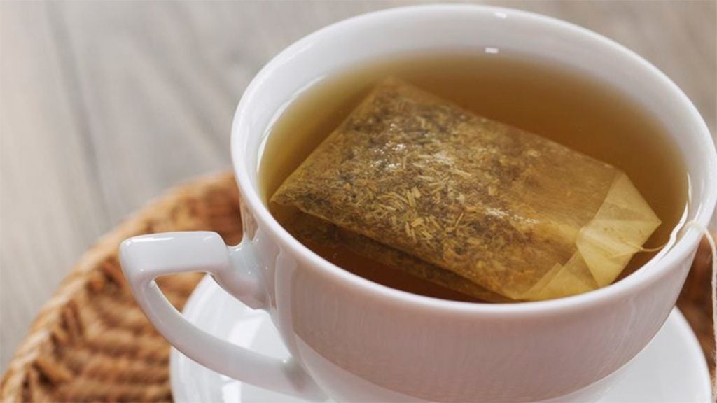 Mosquito: El mejor tip para aliviar la comezón de sus picaduras