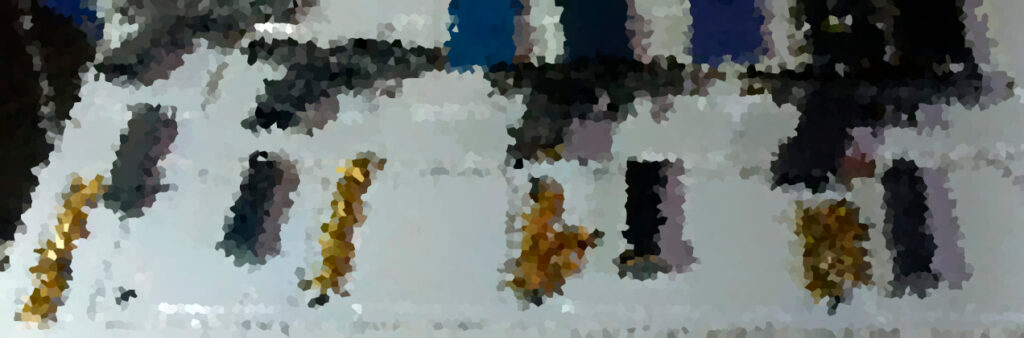 La Martinica: Detienen a 5 armados, uno ex Guardia Nacional