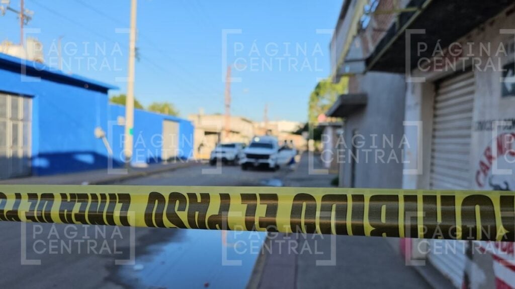 Santa Anita: Encuentran dos cuerpos desmembrados en el jardín