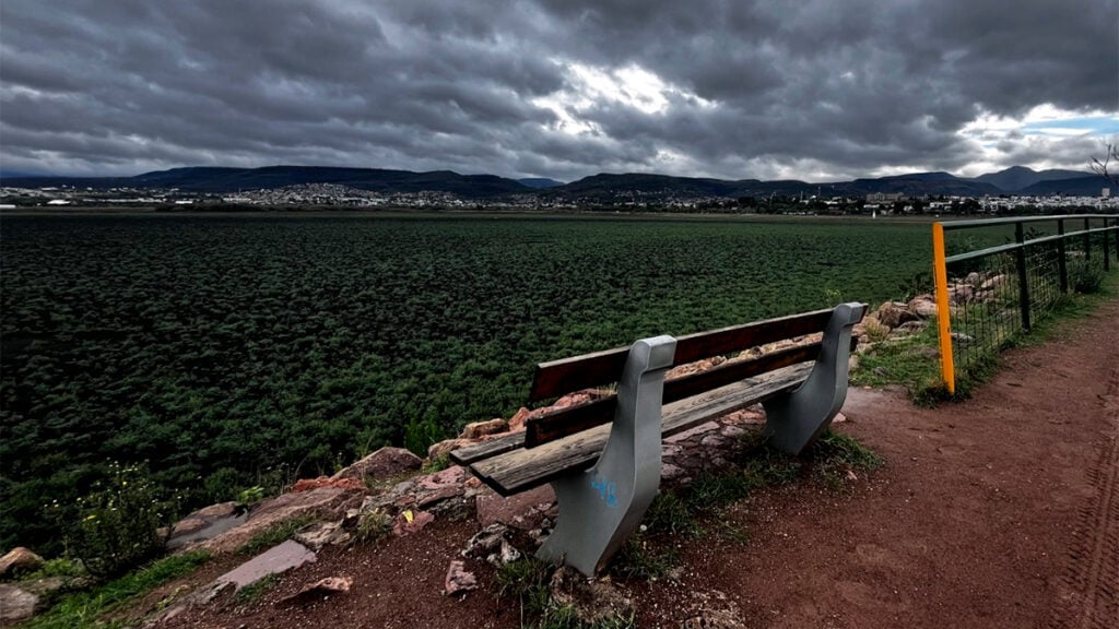 El Palote: Inician investigación por falta de agua 