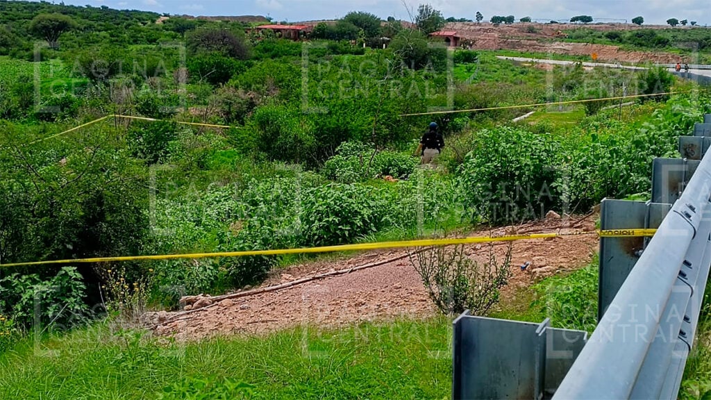 Purísima del Rincón: Hallan un embolsado en el Eje Metropolitano