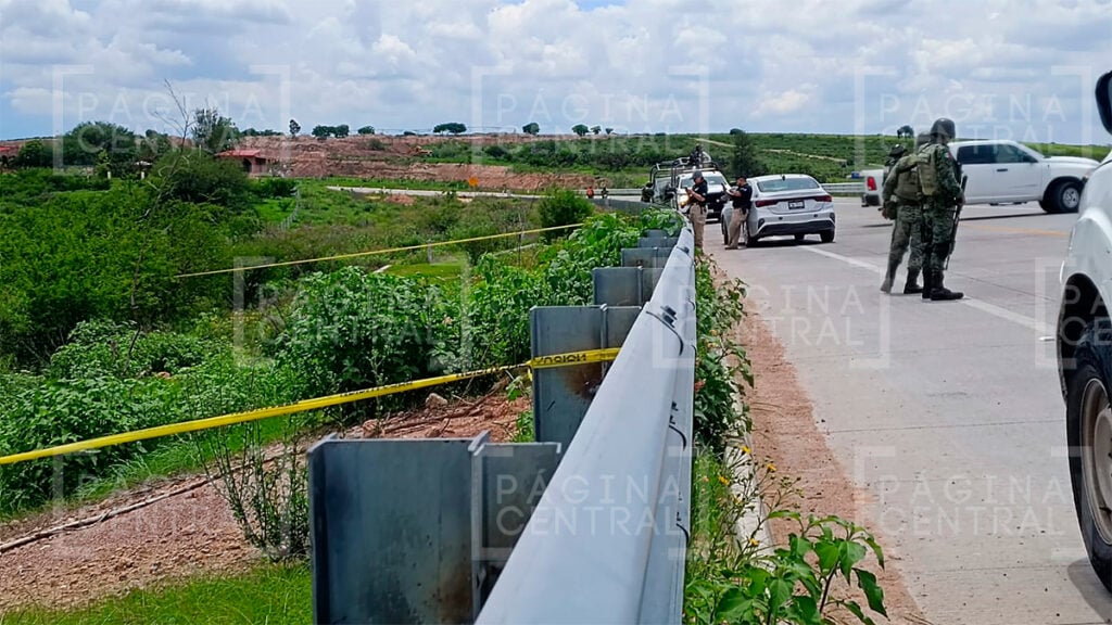 Purísima del Rincón: Hallan un embolsado en el Eje Metropolitano