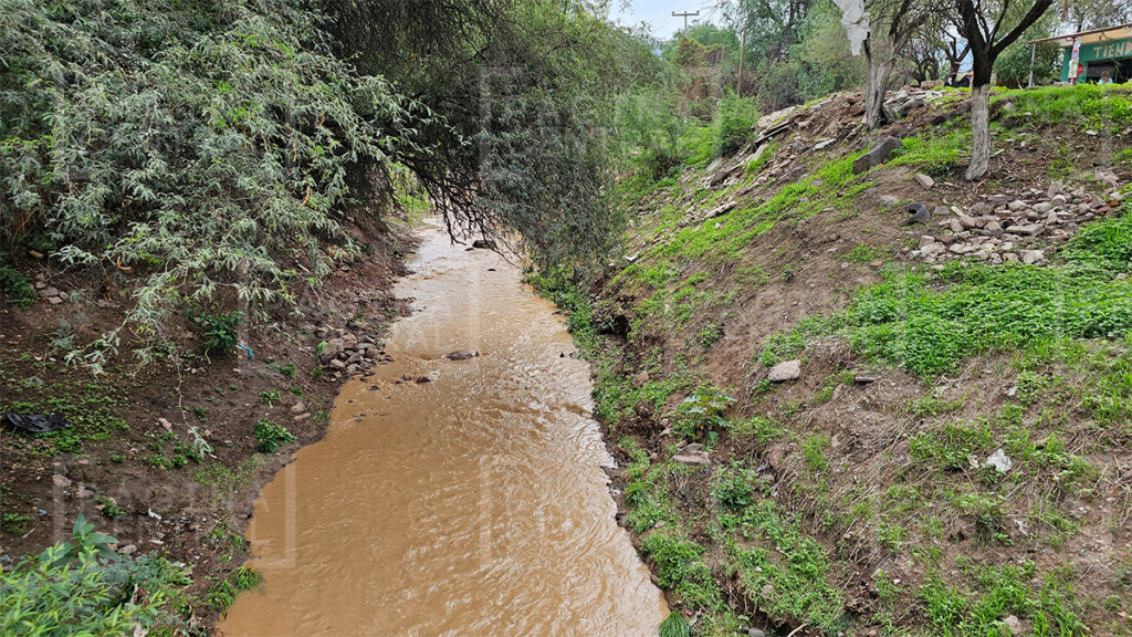 Arroyo Sardeneta: Madre salva salvar a su hijo y sobrina