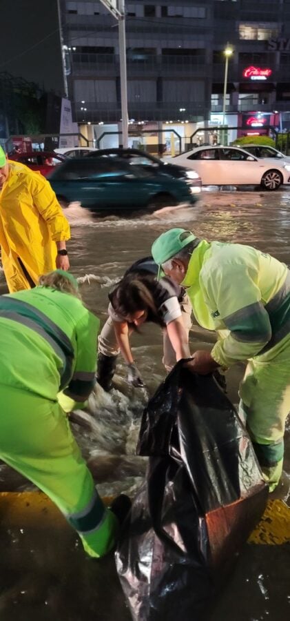 Tormenta en León tumbó 15 árboles y causó encharcamientos