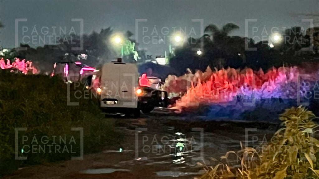 Parques de San Juan: Hallan restos humanos en bolsas 