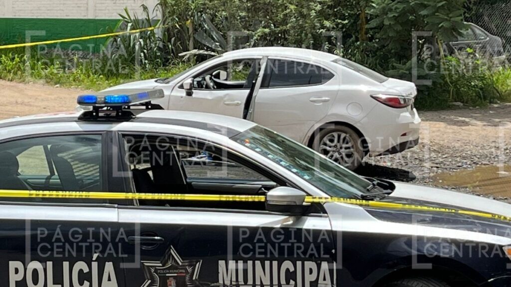 Loza de los Padres: Matan a conductor en la León-Silao