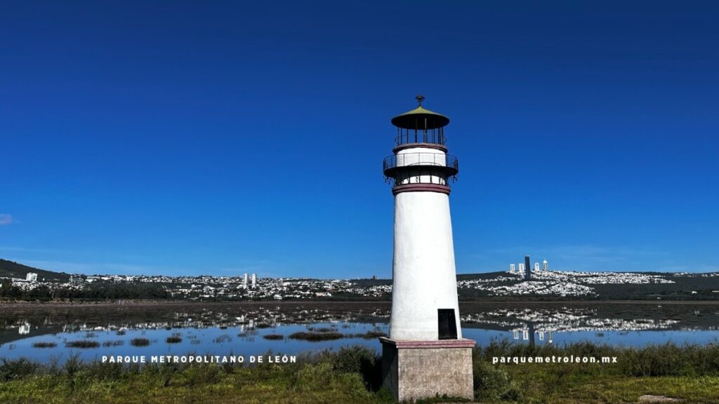 Adultos mayores ya entrarán gratis al Parque Metropolitano en León.