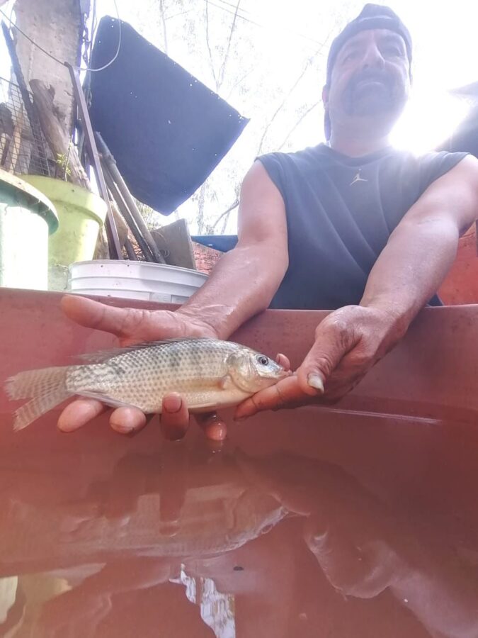Siembra de peces ya se prepara en la presa El Palote en León