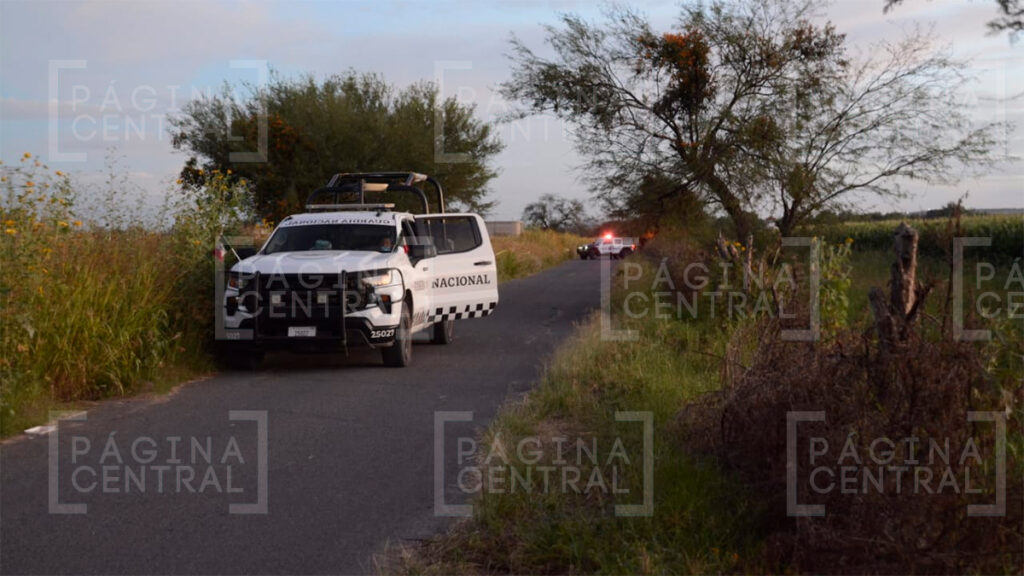 Comunidad Latinoamericana: Hallan a un hombre sin vida entre sembradíos