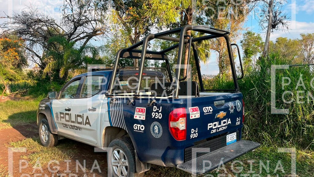 Las Joyas: Encuentran a un hombre sin vida entre milpas de maíz