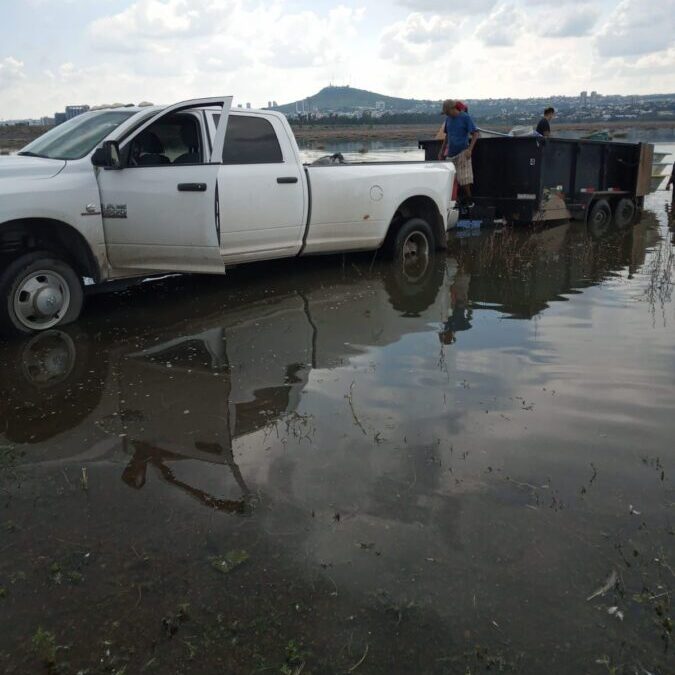 Siembra de peces: Revive El Palote y siembran 5 mil mojarras