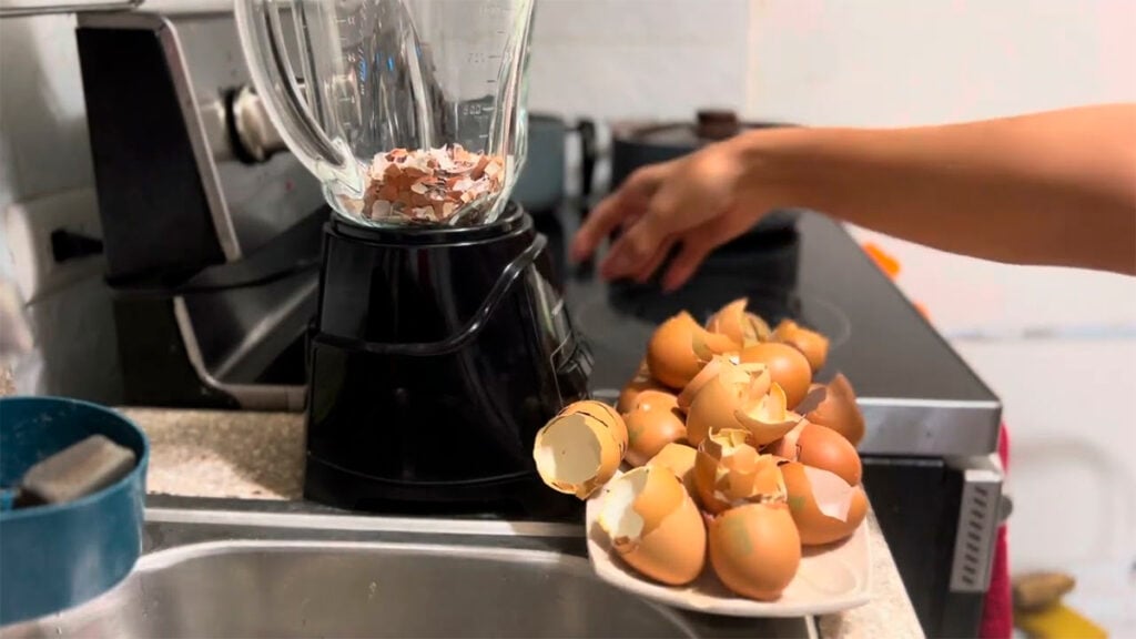 ¿Las aspas de tu licuadora necesitan ser afiladas? 