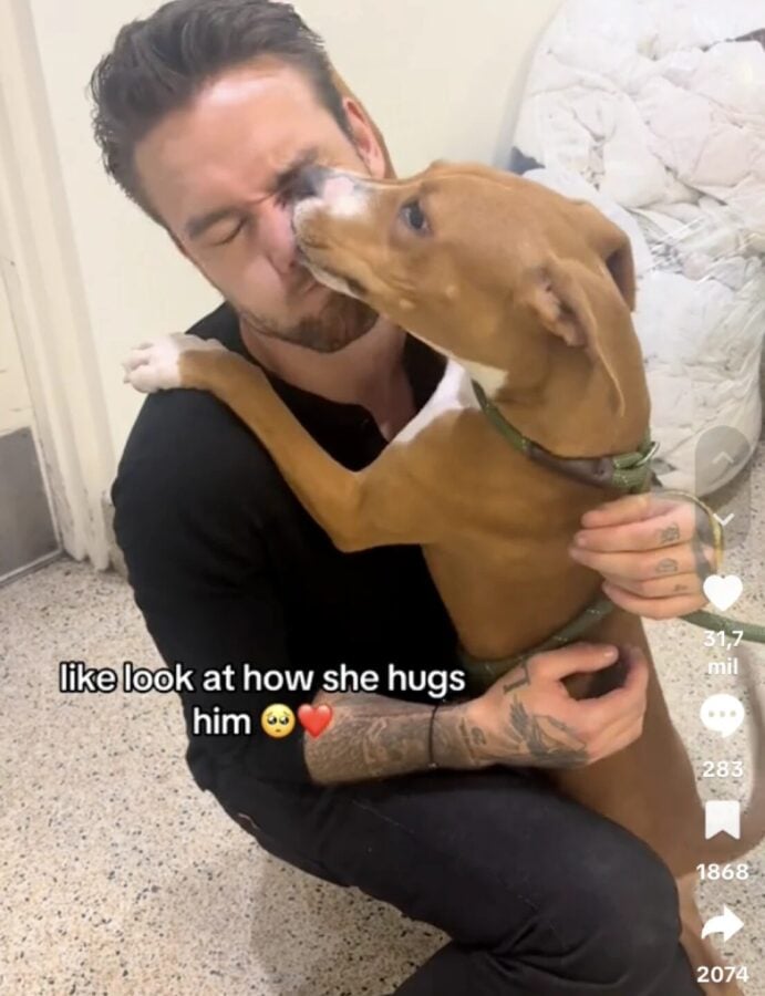 ¿Liam Payne adoptó antes de morir? Su novia lo revela tras la tragedia