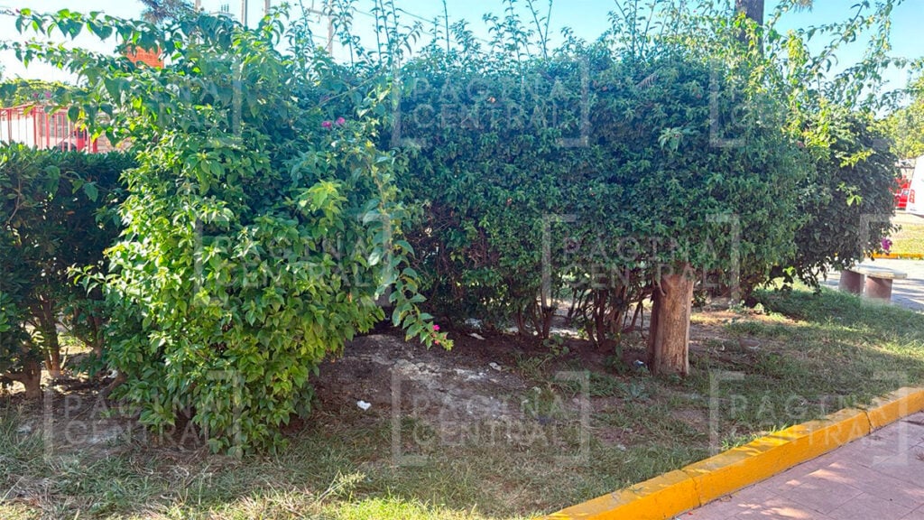 Los Paraísos: Plaza del Mariachi se convierte en foco rojo por vandalismo y robos