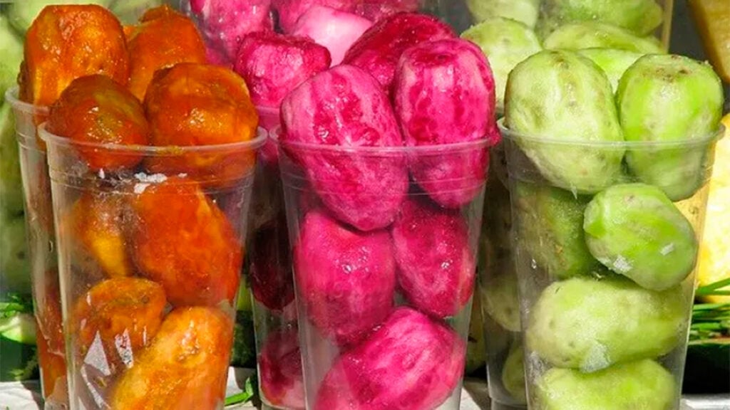 La tuna ayuda a prevenir el cáncer y brinda otros beneficios