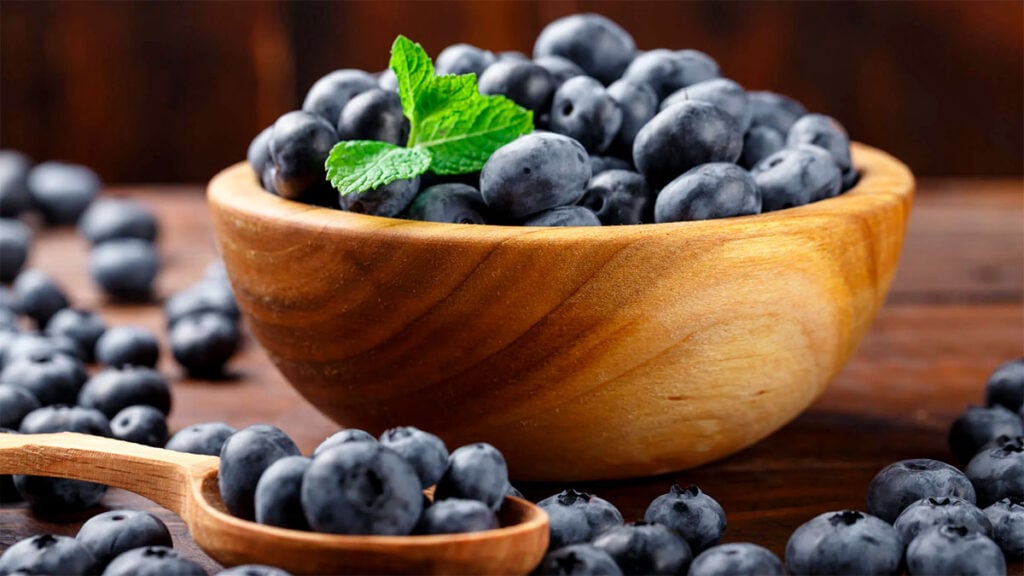 Arándanos: Consumir esta fruta te ayuda a ser más inteligente, según Harvard