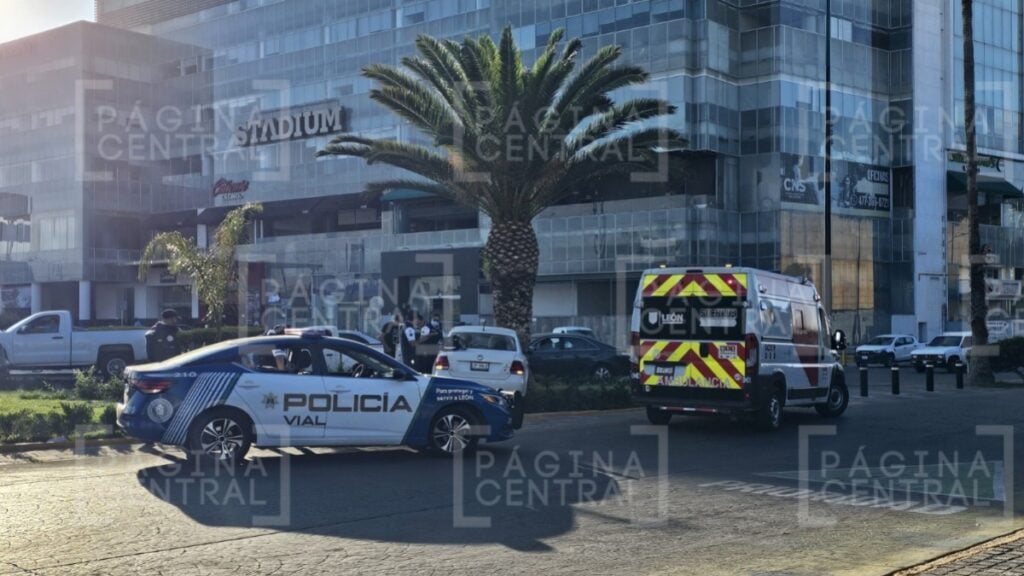 Conductora pierde control de auto y se registra choque con palmera