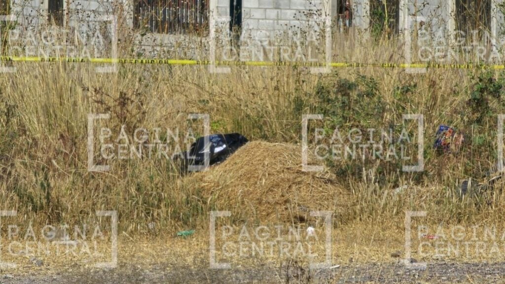 Dejan cuerpo ‘embolsado’ en camellón de Brisas del Campestre