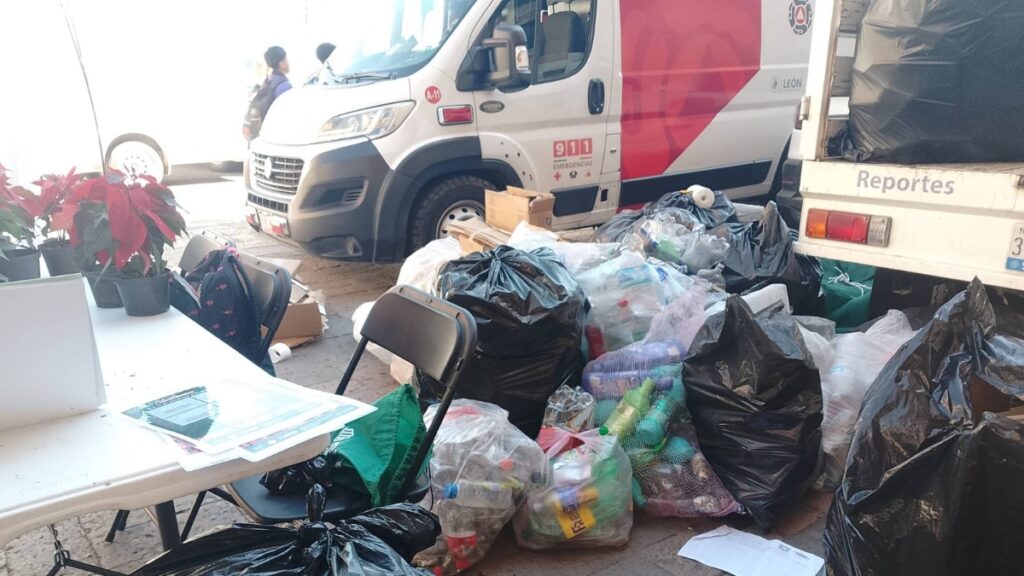 Entregarán 3 mil nochebuenas gratis a cambio de reciclables