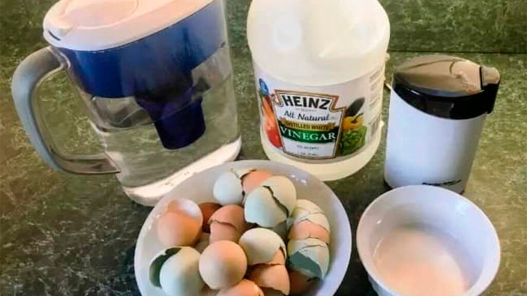 Cáscaras de huevo: Aquí tienes varias formas de reutilizarlas