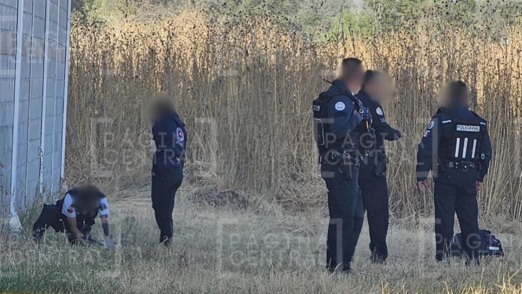 Encuentran a adulta mayor muerta en baldío de Industrial Pompa