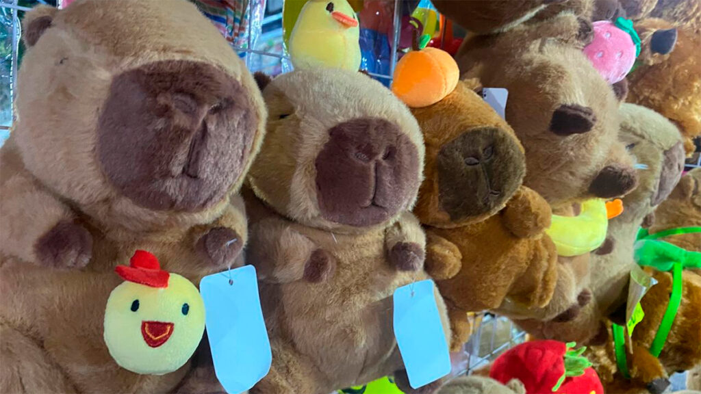 Los Reyes Magos y sus ayudantes llenan de magia los tianguis de León