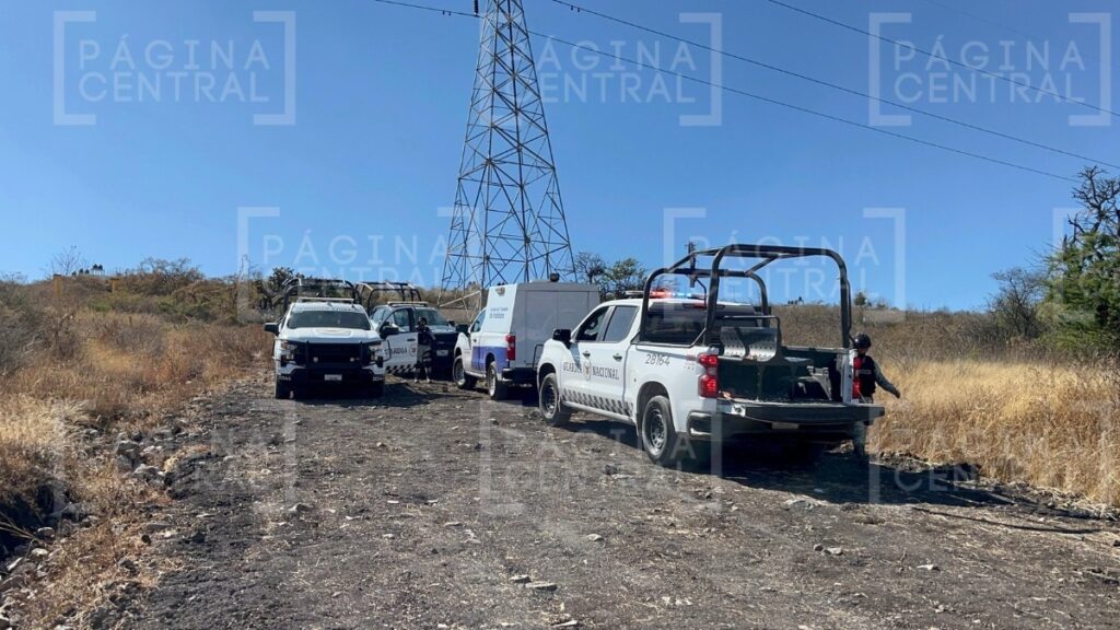 Hallazgo de huesos en un cerro de Joyas de Castilla