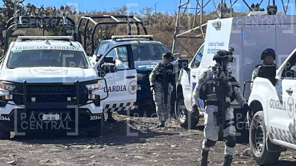 Hallazgo de huesos en un cerro de Joyas de Castilla