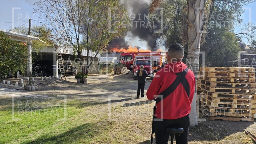 Incendio en bodega: Grandes llamas consumen tarimas de plástico