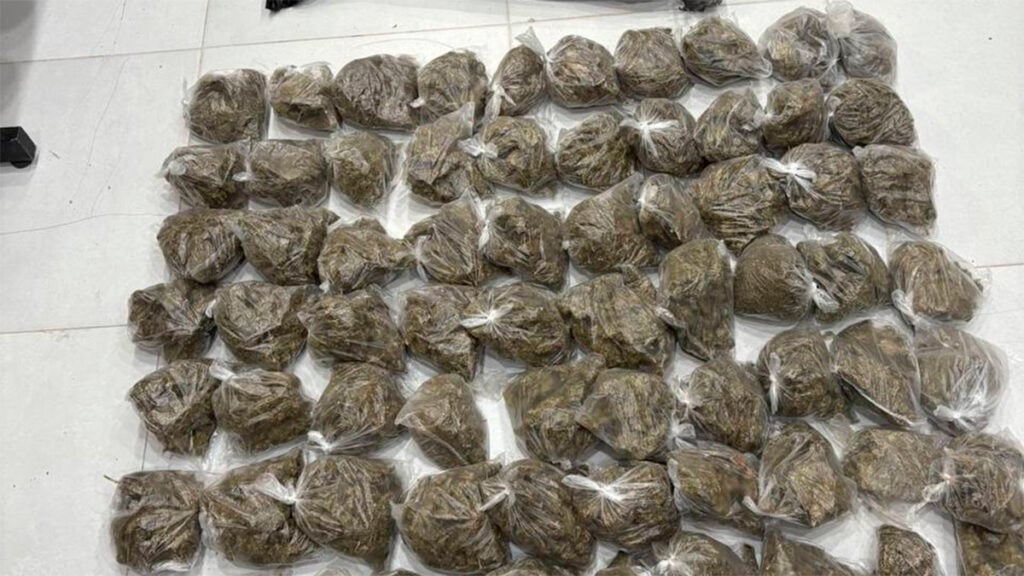 León: Detienen a 2 mil personas y decomisan 300 mil dosis de droga