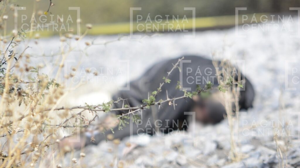Vecinos de El Mayorazgo encuentran cuerpo en las vías del tren