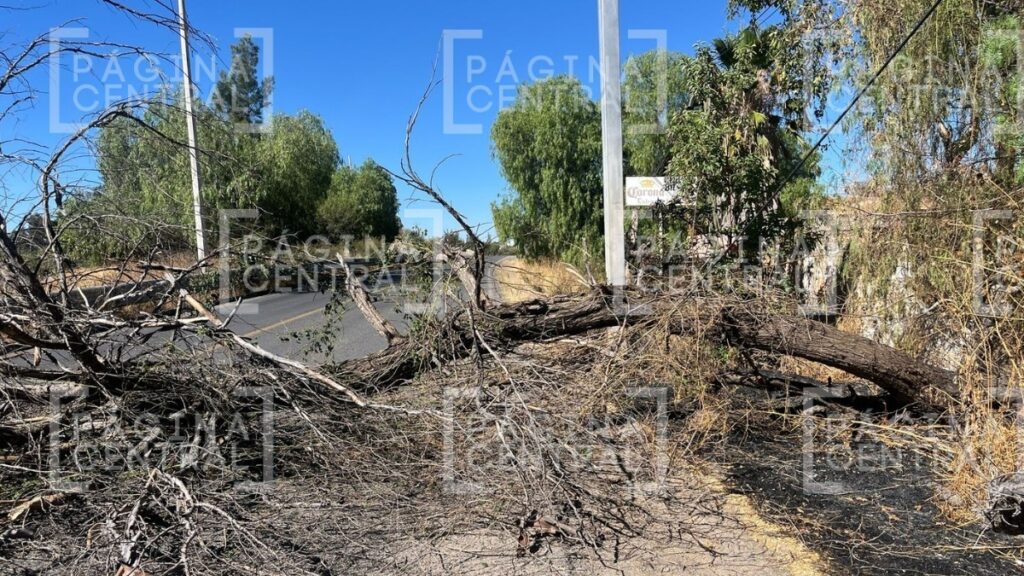 Incendio de pastizal causa caída de árboles en carretera libre a Gto