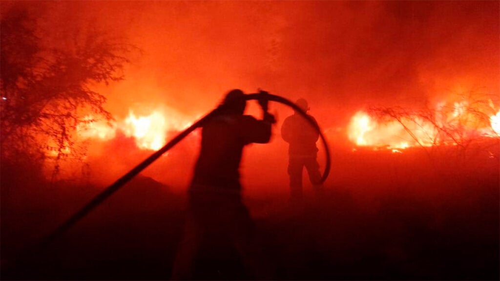 León: Detienen a 2 mil personas y decomisan 300 mil dosis de droga