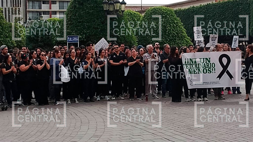 Veterinarios marchan para exigir un alto al acoso y por justicia para Héctor