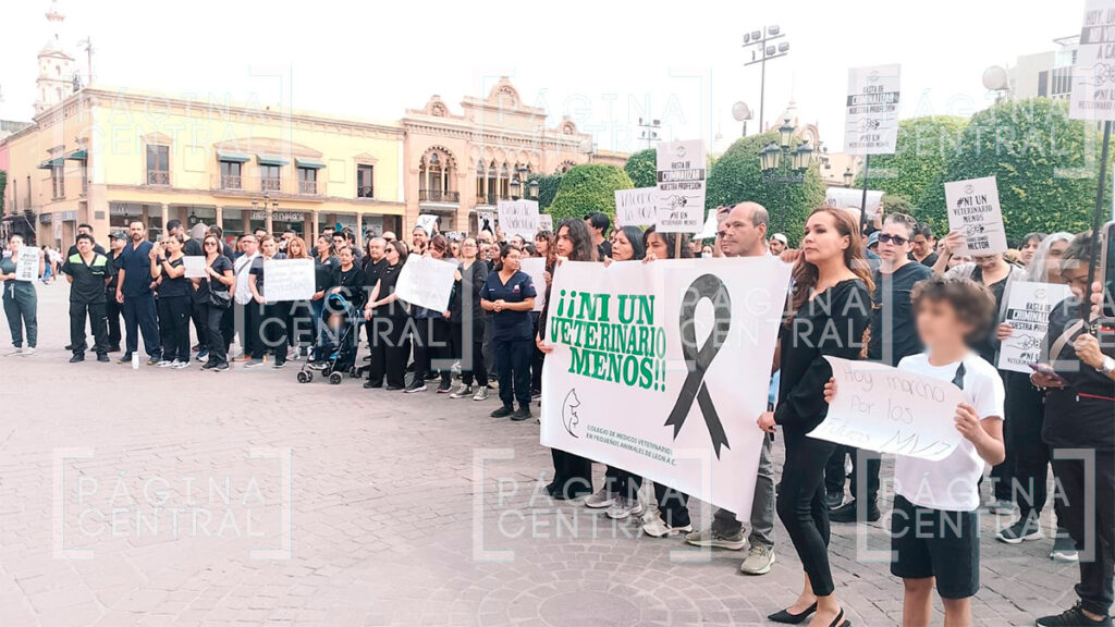 Veterinarios marchan para exigir un alto al acoso y por justicia para Héctor