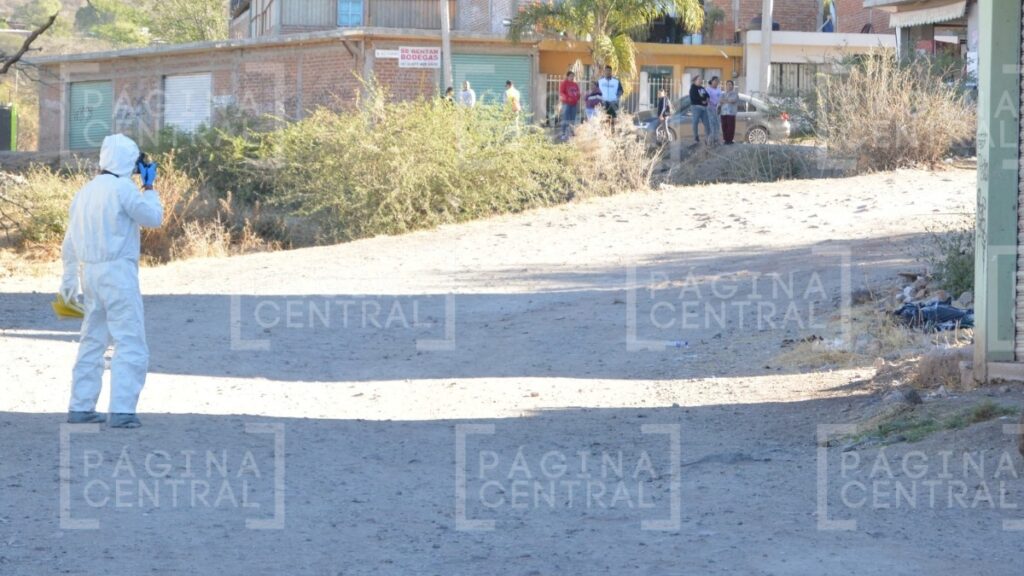 Restos humanos en Valle de las Toronjas fueron tirados en bolsas