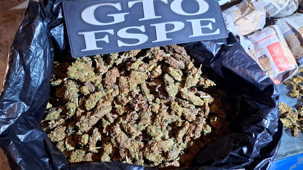 Vista Hermosa; Aseguran 2 casas, 40 kilos de marihuana en una y un búnker en otra 