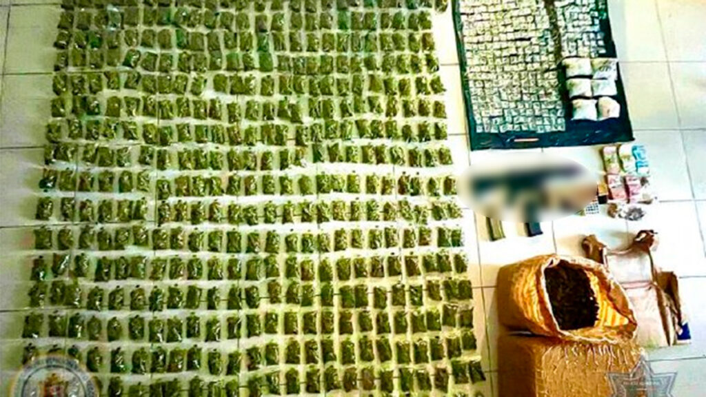 Granja Las Amalias: Detienen a 4 presuntos delincuentes con drogas y un mono araña